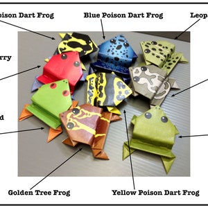 May include: A collection of origami frogs in various colors and patterns, including green, red, blue, yellow, and brown. The frogs are labeled with their names, such as "Green Poison Dart Frog", "Strawberry Poison Dart Frog", and "Red-Eyed Tree Frog".