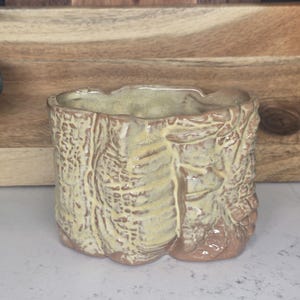 May include: A small, handcrafted ceramic planter with a textured, bark-like design. The planter features a square shape with rounded edges and is finished in shades of beige and brown. The interior is a lighter beige color.
