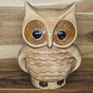 Vintage Owl MCM Owl Penny Bank Brown  Ceramic Tabletop Owl Decor