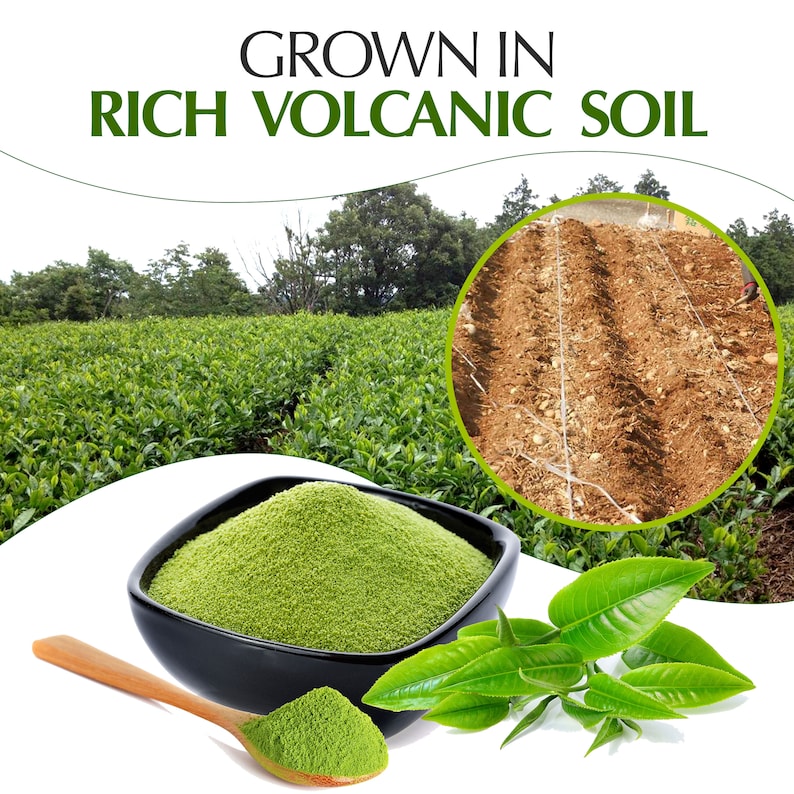 Grown in Rich Volcanic Soil - Kagoshima Tea Organic Matcha Green Tea Powder – 30g Ceremonial Grade Matcha – Premium Organic Matcha with Natural Sweetness and Grassy Taste – Easy Brewing Matcha