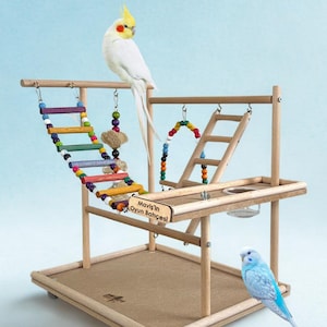 Bird Playpen , Wooden Bird Playground , Handmade Wooden Bird Play Set , Premium Bird Accessories , Wooden Bird Play gym