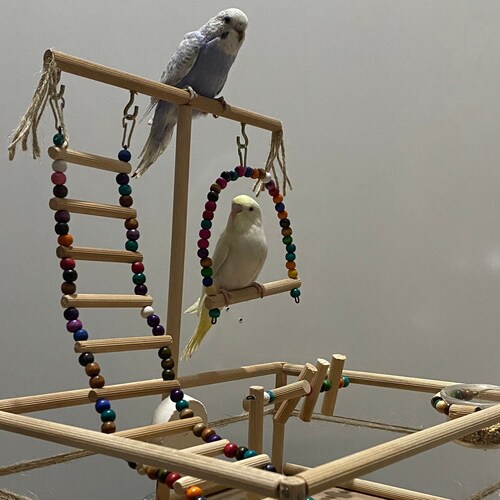 Bird Toysbird Play Stand Bird Playground Parrot Perch Hand - Etsy