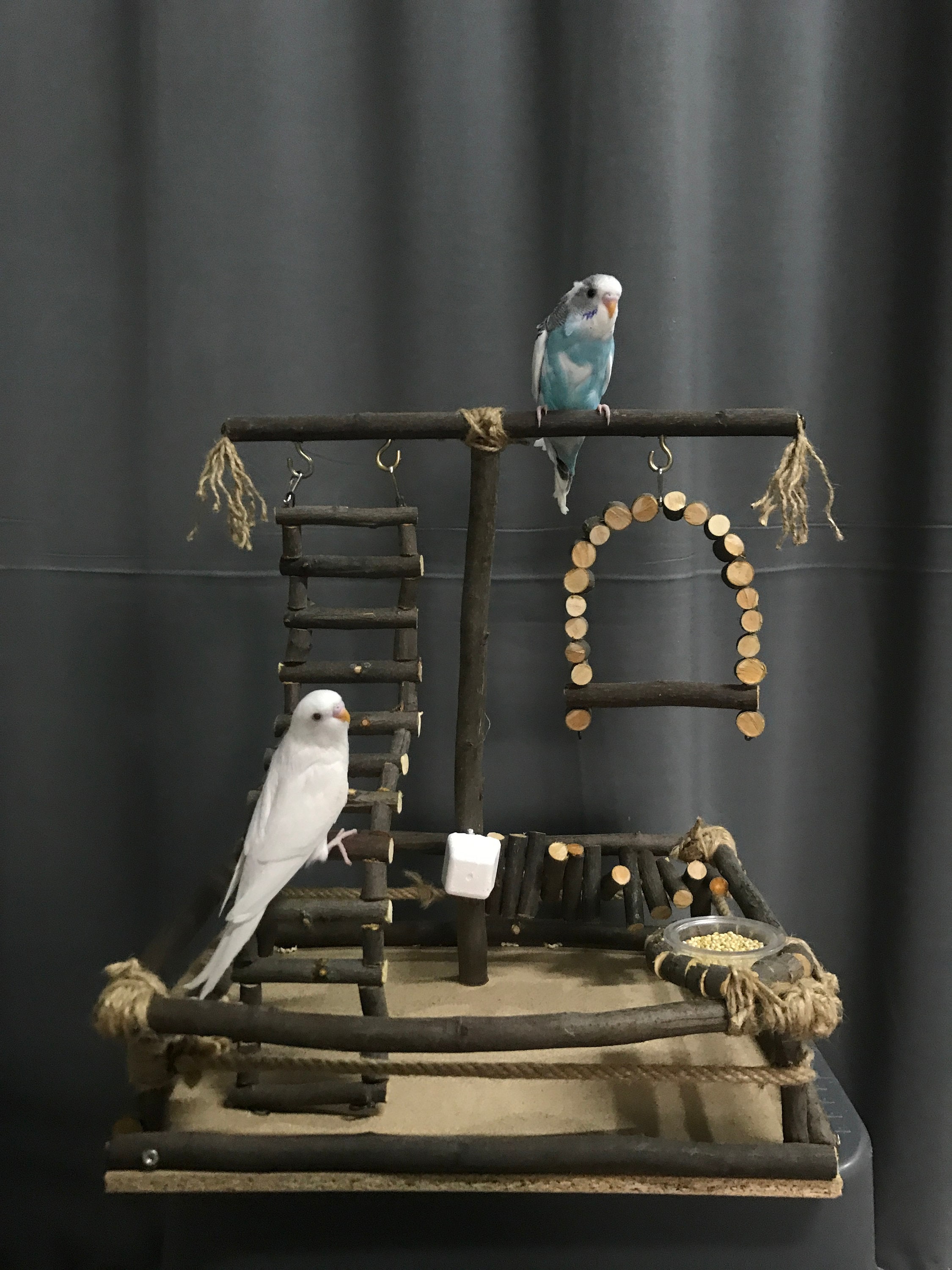 Handmade Wooden Bird Playground: Parrot Perch, Ladder & Swing - Etsy
