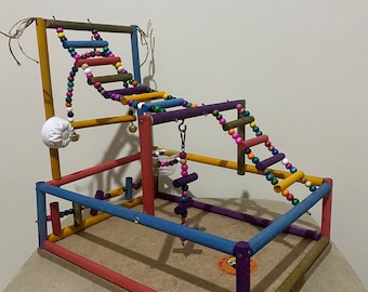Handmade Colorful Bird Playground: Beech Wood Perch Tree & Swing