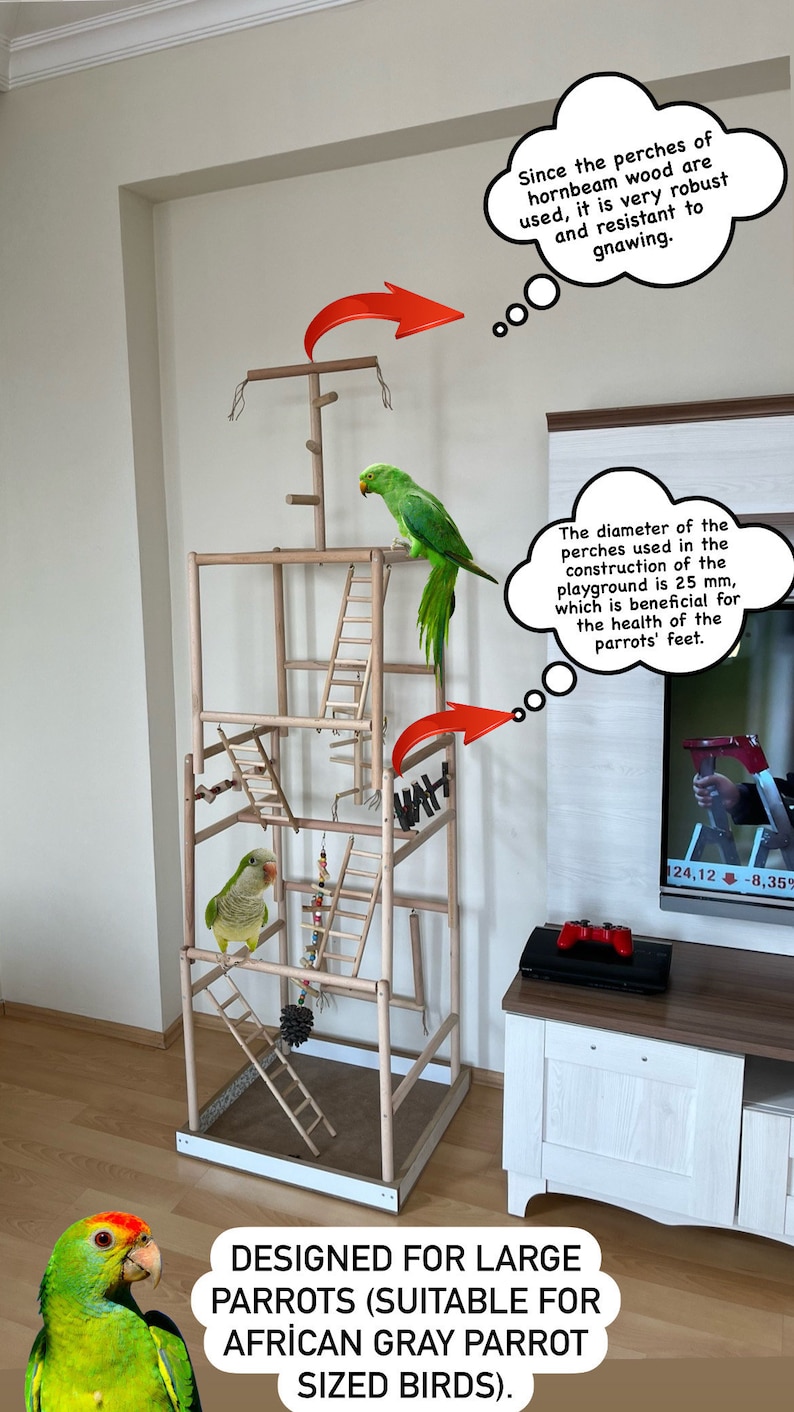 Large Parrot Playground: Hornbeam Wood Perch Tree & Swing (55x55x185cm ...