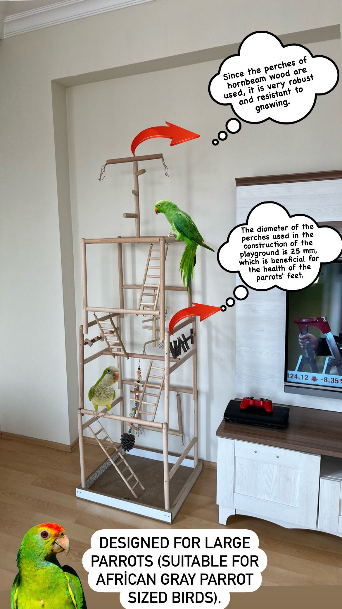 Large Parrot Playground: Hornbeam Wood Perch Tree & Swing (55x55x185cm ...