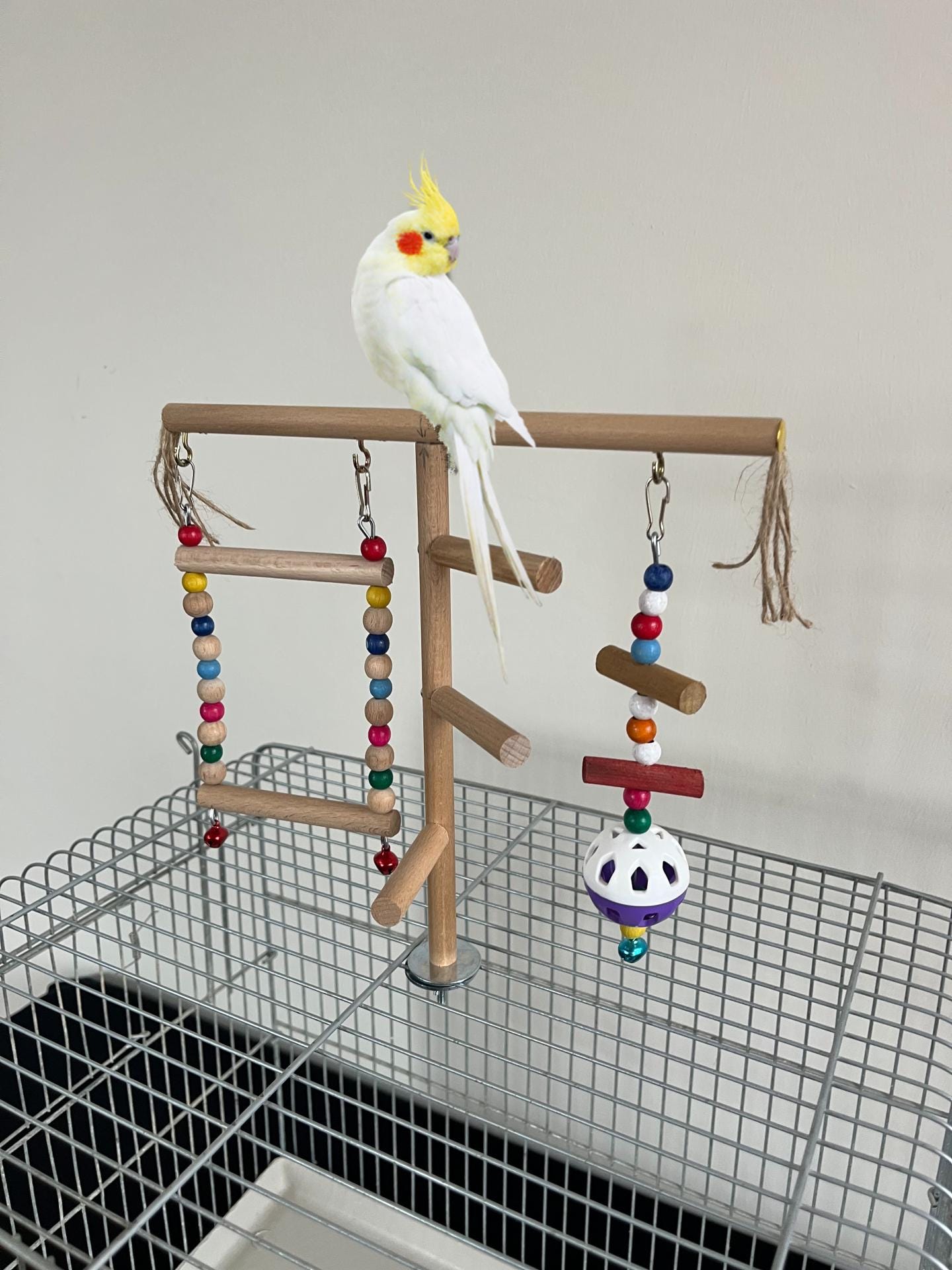 セキセイインコのケージ - Etsy 日本