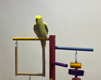 Cage-Top Toy for Birds , Play Park that can be Fixed to the Cage , Wooden Toys,Handmade colorful play gym , Conure Toys , budgerigar Toys