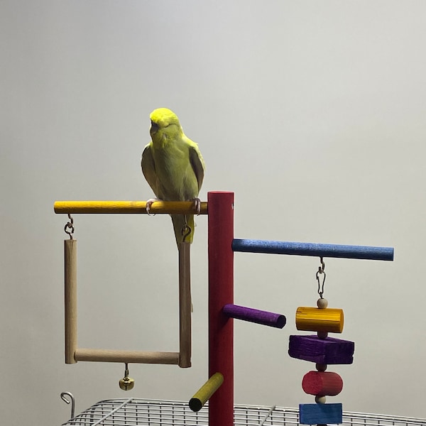 Jouet au sommet de la cage pour oiseaux, Parc de jeu pouvant être fixé à la cage, Jouets en bois, Salle de sport colorée faite main, Jouets Conure, Jouets perruches