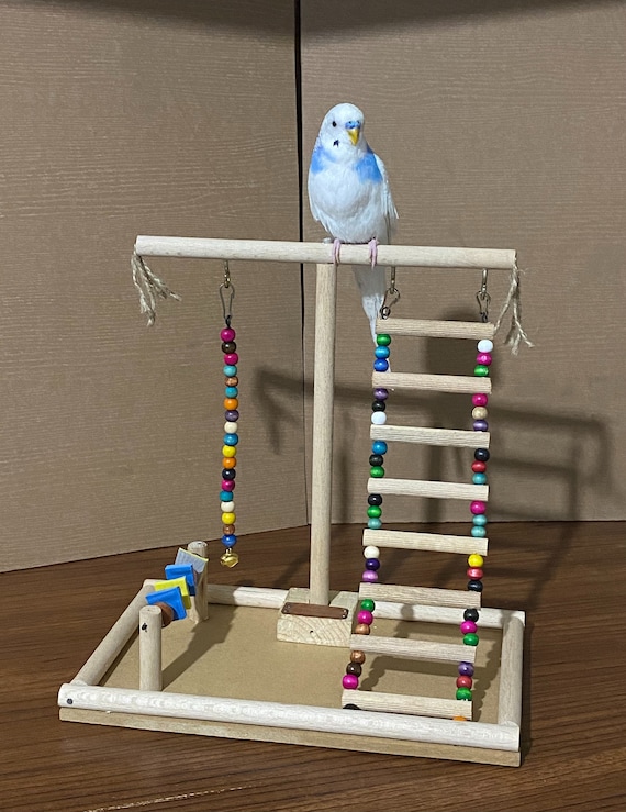 Perroquet oiseaux perchoir en bois pour cages à oiseaux exercice T