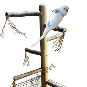 Trespolo naturale per uccelli per la parte superiore della gabbia, trespolo naturale per calopsitte e parrocchetti, trespolo premium per pappagalli