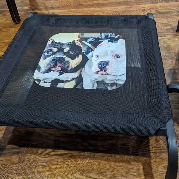 Elevated Dog Bed Etsy