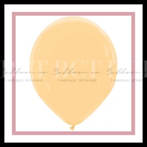 BCT BALLOONS &quot;PERSIMMON&quot; - Peach Balloons, Light Orange Balloons, Pastel Balloons, 5&quot;, 13&quot;, 16&quot; and 24&quot; Pastel Peach Balloons