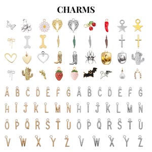 May include: A selection of charms in diverse designs, such as butterflies, flowers, hearts, and letters. The word "CHARMS" is displayed at the top. The charms are in gold and silver tones, with some featuring enamel details.