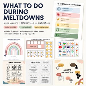 May include: A collection of educational visual aids titled What To Do During Meltdowns, featuring a de-escalation flowchart, rainbow breathing guide, token boards, reinforcement boards, calming strategies, and charts for communication and control.