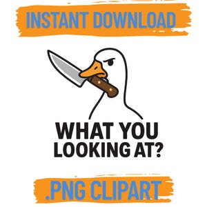 What You Looking At? Goose PNG – Sassy Animal Design for Stickers, Shirts, Libbey Cups, Keychains & More | Funny Goose, Meme PNG,