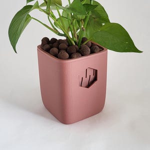 Puede incluir: Una planta de potos con hojas verdes vibrantes en una maceta cuadrada de color rosa polvoriento. La maceta tiene un diseño geométrico recortado y está llena de guijarros marrones.