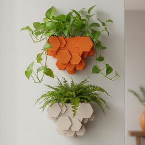 Op de afbeelding: Drie aan de muur gemonteerde plantenbakken met een honingraatontwerp. De bovenste plantenbak is oranje en bevat groene bladplanten. De middelste plantenbak is beige en bevat een varen. De onderste plantenbak is wit en bevat vetplanten.