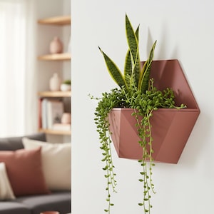 May include: A rose-coloured, hexagonal wall planter, filled with green plants, hangs on a white wall. The planter contains a snake plant and trailing string of pearls. The background shows a living room setting with a sofa and coffee table.