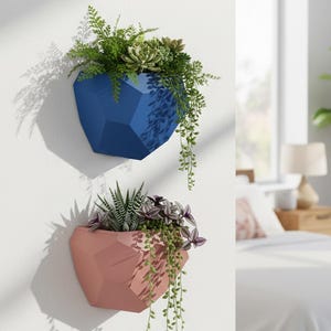 May include: Two geometric wall planters, one blue and one pink, each filled with a variety of green plants and trailing vines. The planters are mounted on a white wall, creating a modern and stylish display for indoor greenery.