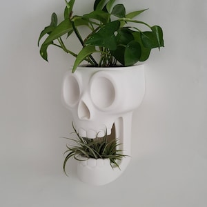 Skull Wall Mount Planter with Removable Pot | Open Mouth Version