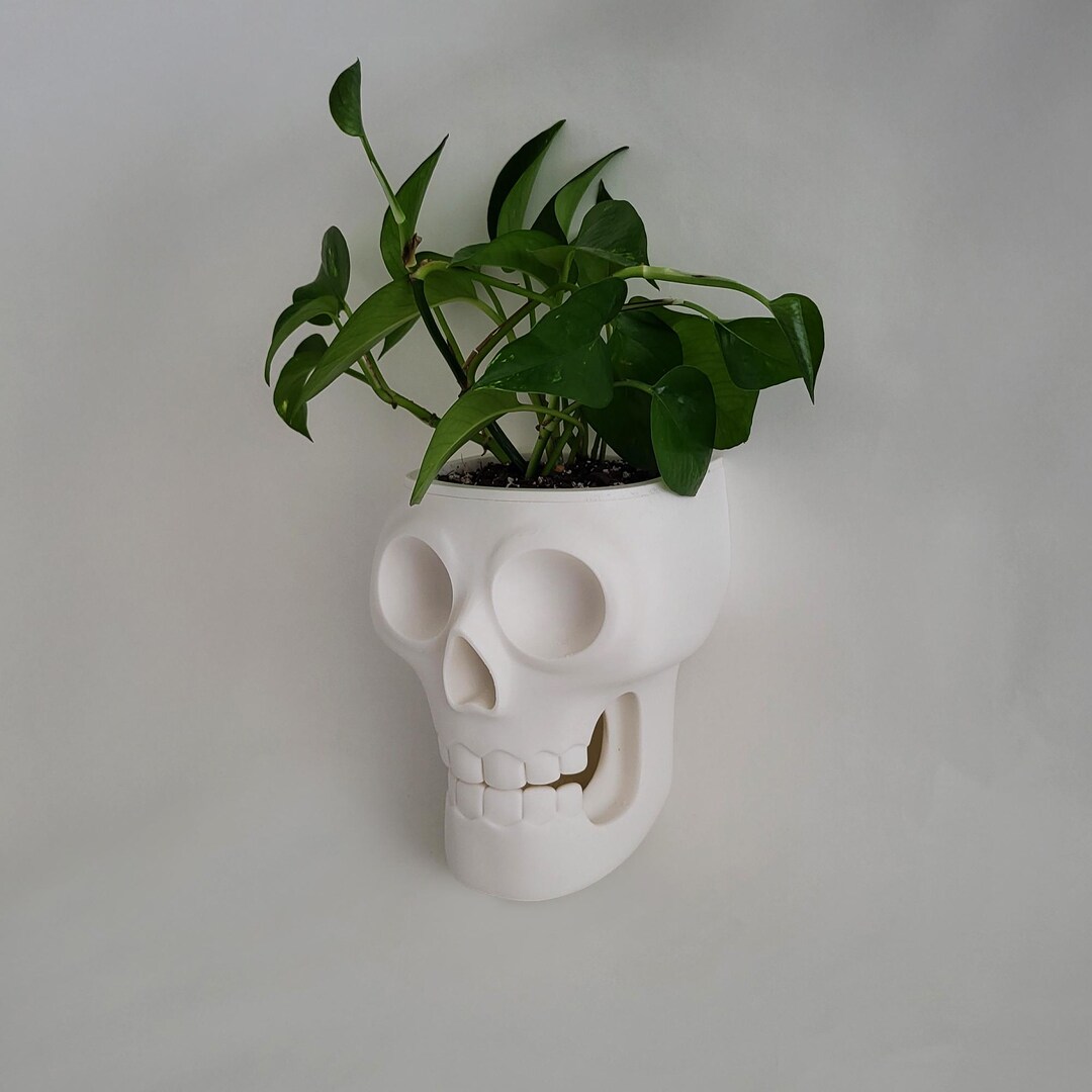 Skull Wall Mount Planter With Removable Pot | Closed Mouth Version