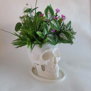 May include: A white ceramic skull planter with a variety of green plants and pink flowers growing out of the top.