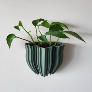 Elegant Wall Planter With Removeable Insert - Modern Indoor Garden - Two Sizes - 14 Colors