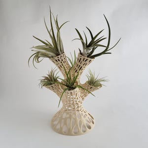 May include: A white ceramic planter with a tree-like design and five openings for plants. The planter is filled with five air plants.