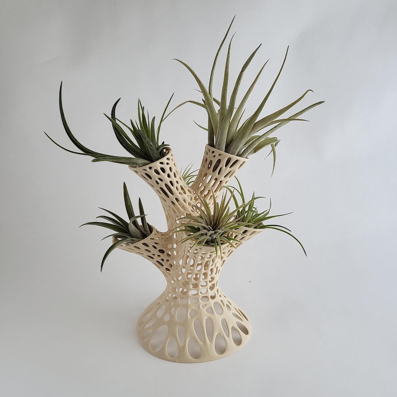 Puede incluir: Un macetero de cer&aacute;mica blanca con forma de &aacute;rbol con cuatro ramas, cada una con una peque&ntilde;a planta de aire. El macetero tiene un dise&ntilde;o texturizado y org&aacute;nico.