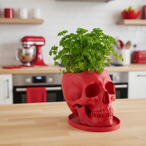 Skull Planter with Drainage & Saucer - 4 Sizes, 14 Colors, Unique Macabre Home Decor image 2