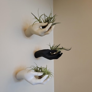 Puede incluir: Tres manos de cerámica blanca y negra montadas en una pared, cada una sosteniendo una pequeña planta de aire verde.