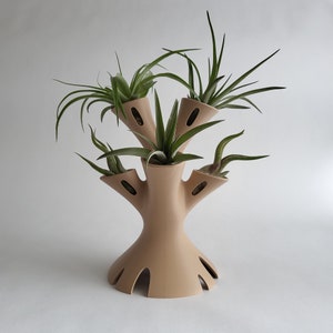 Funky Air Plant Holder: Holds 6 Plants, Vented PLA Display