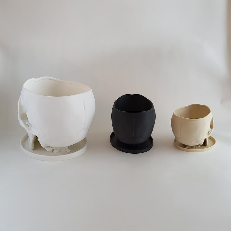May include: Three skull-shaped planters in different sizes. The largest planter is white, the middle planter is black, and the smallest planter is beige.