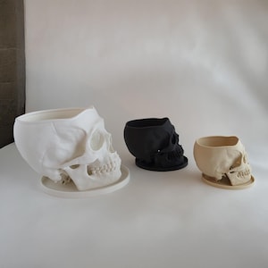 May include: Three skull-shaped planters, one white, one black, and one beige, are arranged on a white surface. The planters are all in the same style, with a rounded skull shape and a small opening at the top for planting.