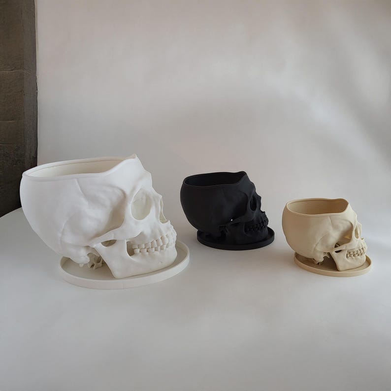 May include: Three skull-shaped planters, one white, one black, and one beige, are arranged on a white surface. The planters are all in the same style, with a rounded skull shape and a small opening at the top for planting.