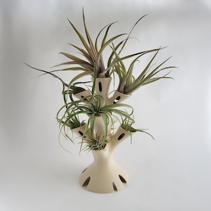 Air Plant Holder, Holds 9 Plants, Vented for Airflow,  Unique Air Plant Display, 9.5 Inches Tall, 14 Colors