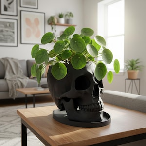 Skull Planter with Drainage & Saucer - 4 Sizes, 14 Colors, Unique Macabre Home Decor image 4