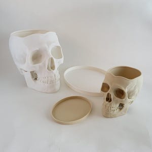 May include: Two white ceramic skull planters, one larger than the other, with a beige saucer. The larger skull planter is on the left and the smaller skull planter is on the right. Both planters have a realistic skull design with visible teeth and eye sockets.