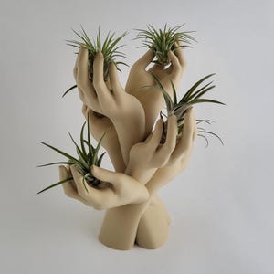 Hand Tree Air Plant Holder: Modern Home Sculpture, 14 Colors
