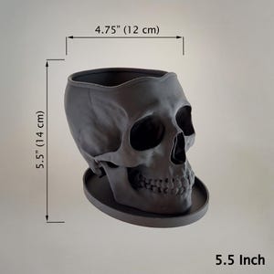 Skull Planter with Drainage & Saucer - 4 Sizes, 14 Colors, Unique Macabre Home Decor image 17
