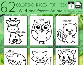 62 Wild and forest Animals Simple and Jumbo Printable coloring pages