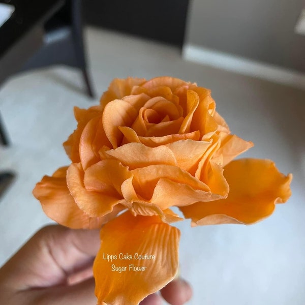 garden rose sugar flower gumpaste