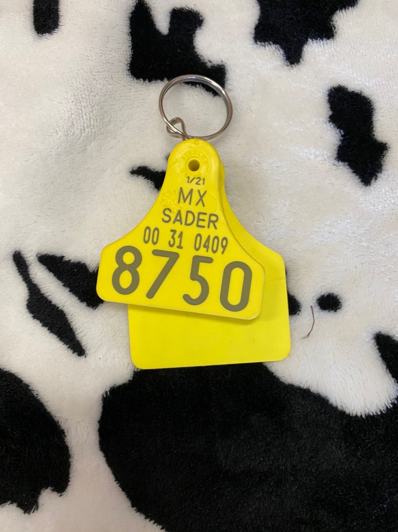 May include: Two bright yellow livestock ear tags attached to a silver metal ring. The tags show the text "1/21 MX SADER 00 31 0409 8750". The background is a white and black cow print.