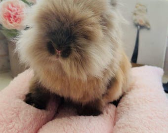 Cama reversible para conejitos / Acogedor nido de felpa orgánica para mascotas pequeñas