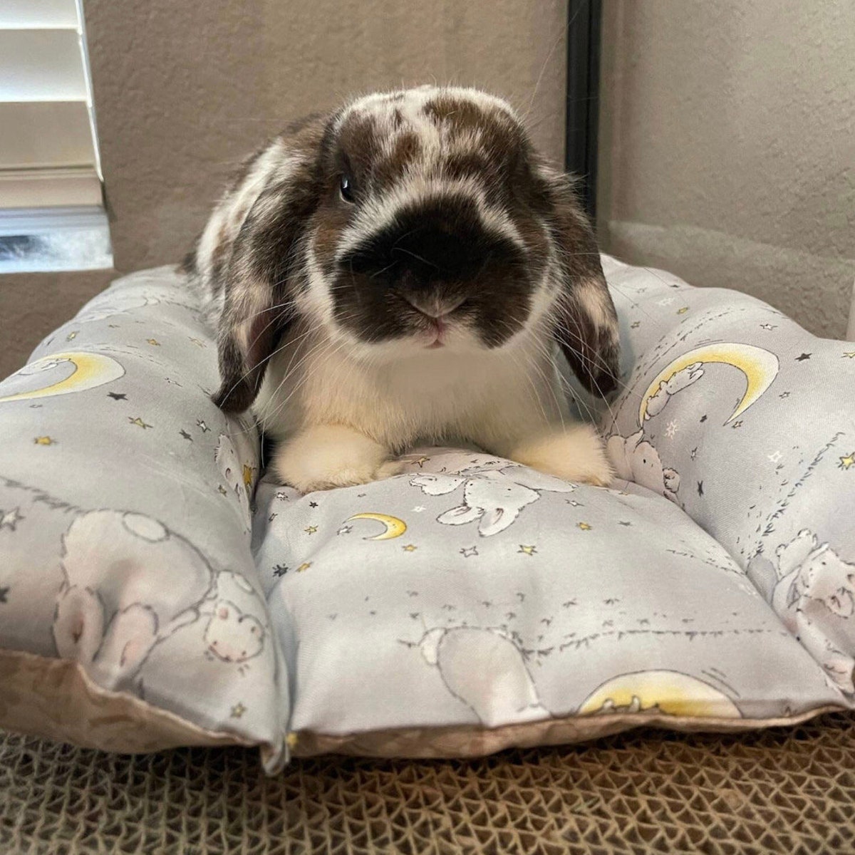 Bunny Dream Bed - Cottontail Rabbit Fabric
