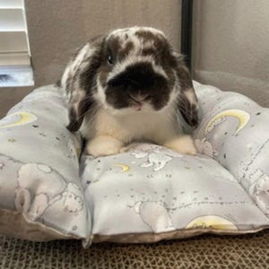 Lit de rêve en forme de lapin