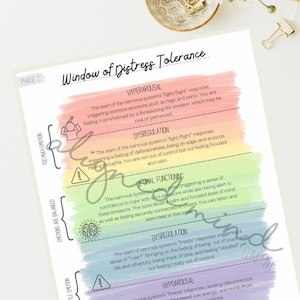 Window of Distress Tolerance Infographic & Worksheet- Digital Download -Rainbow Window of Tolerance image 1