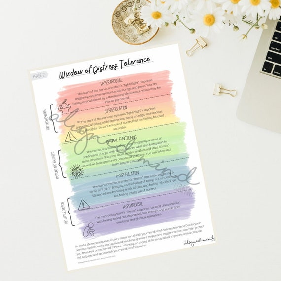 Window of Distress Tolerance Infographic & Worksheet- Digital Download -Rainbow Window of Tolerance