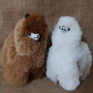 ALPACAS - FURRY